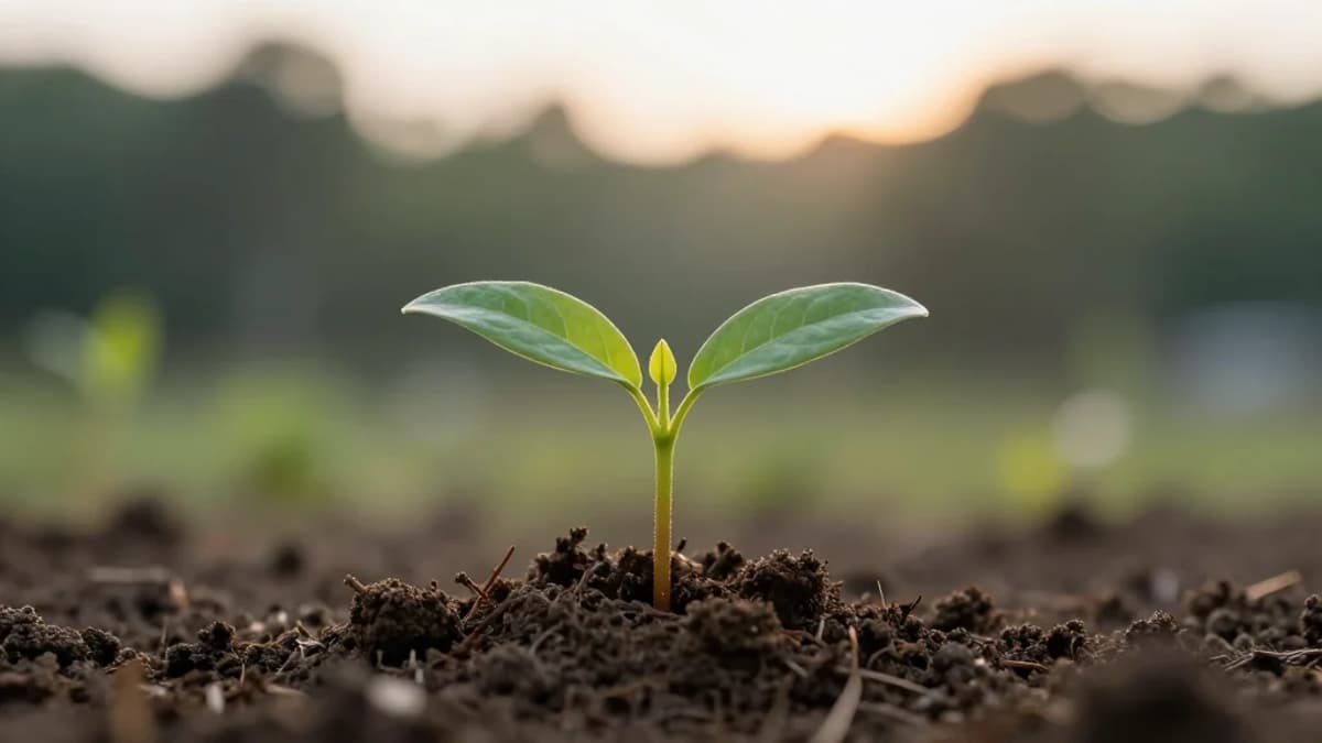 FNDA: Small Value ETF Beating The Benchmark But Lagging Some Peers