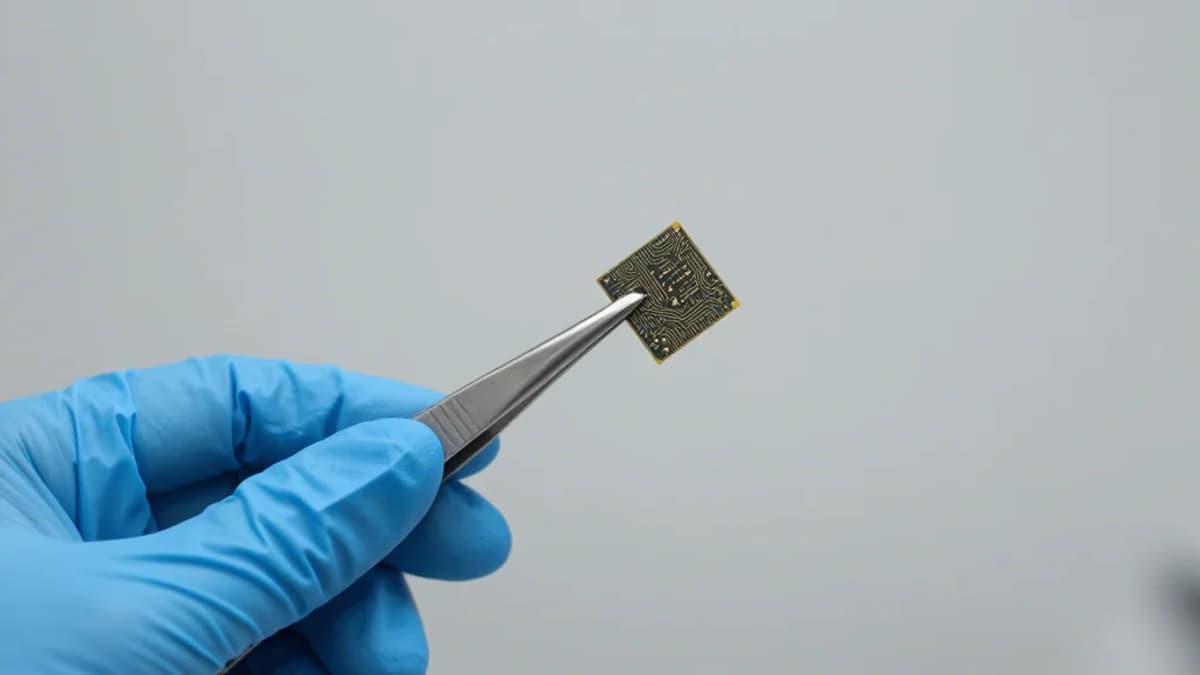 Highly Conductive and Supertough PVDF‐Based Electrolytes with Self‐Defective Fillers for Solid‐State Lithium Metal Batteries