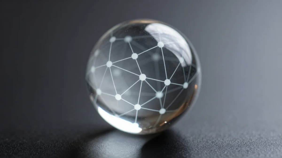 Public Development at Zcash Boosts Collective Learning