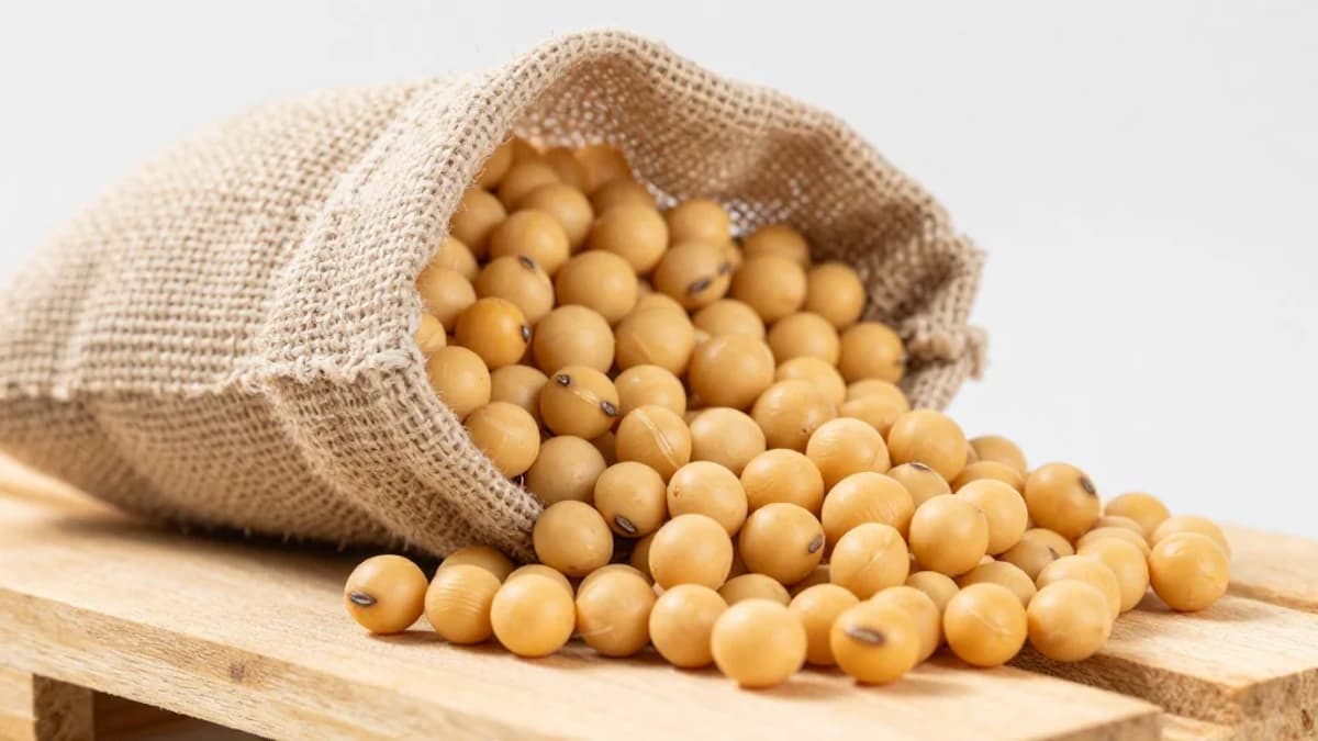 The Good, Bad & Ugly