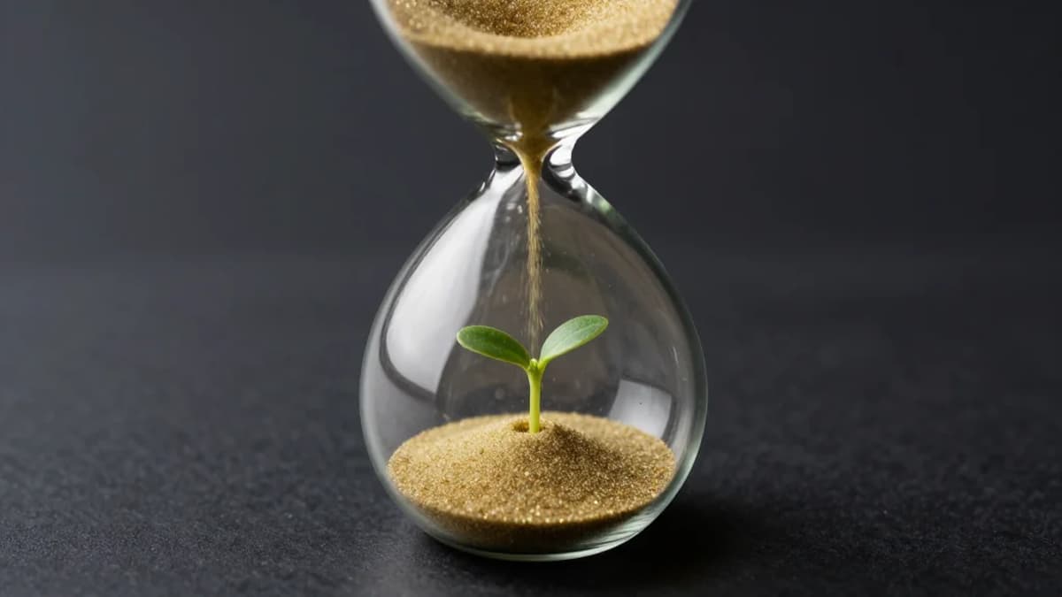 Short-Term Pipeline Pressure Stifles Long-Term Brand Differentiation