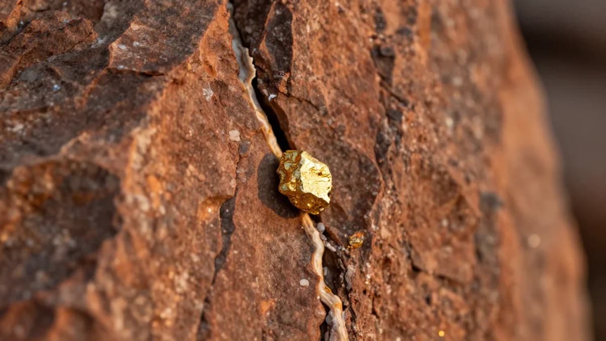 Waratah Minerals Grows Spur and Consols Gold Zones, Results Point to Major System