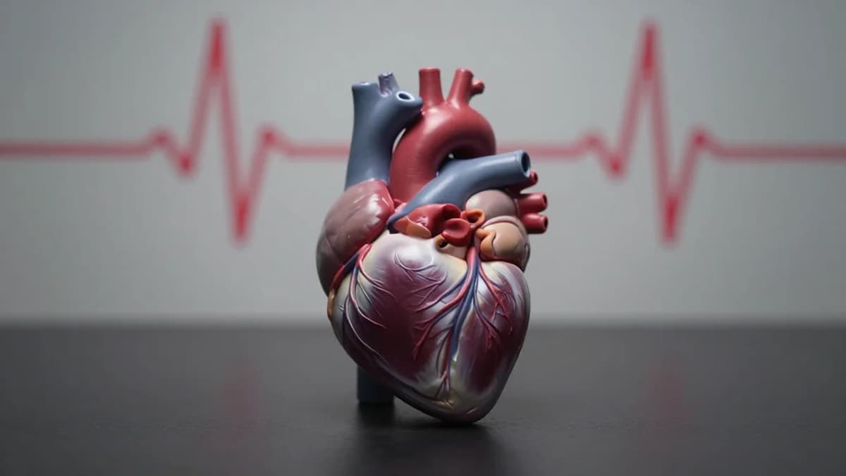 Heart Attacks Are Killing More Young People—And More Women