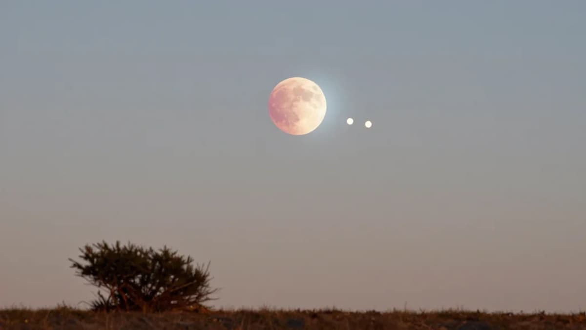 A Red Moon, a Blue Moon, a Supermoon and More: Your Guide to the Southern Sky in 2026