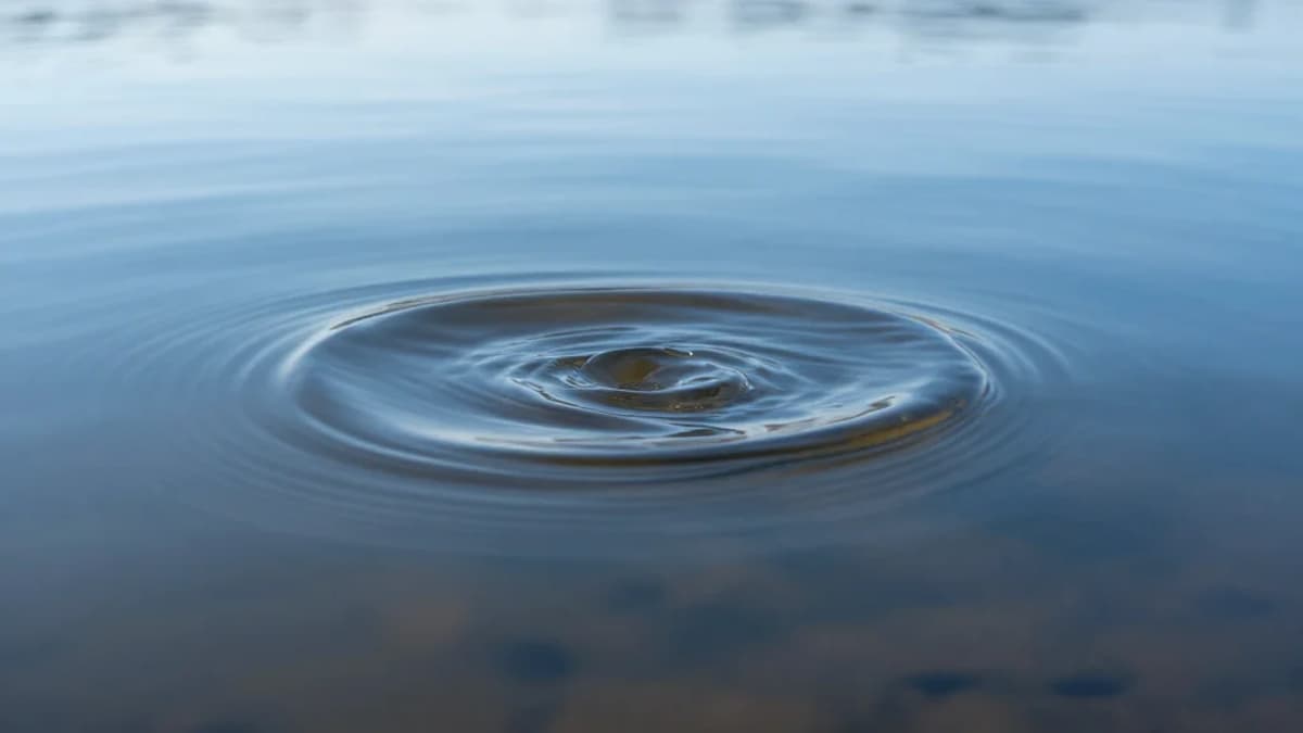 Flat Index Hides Underlying Market Turbulence