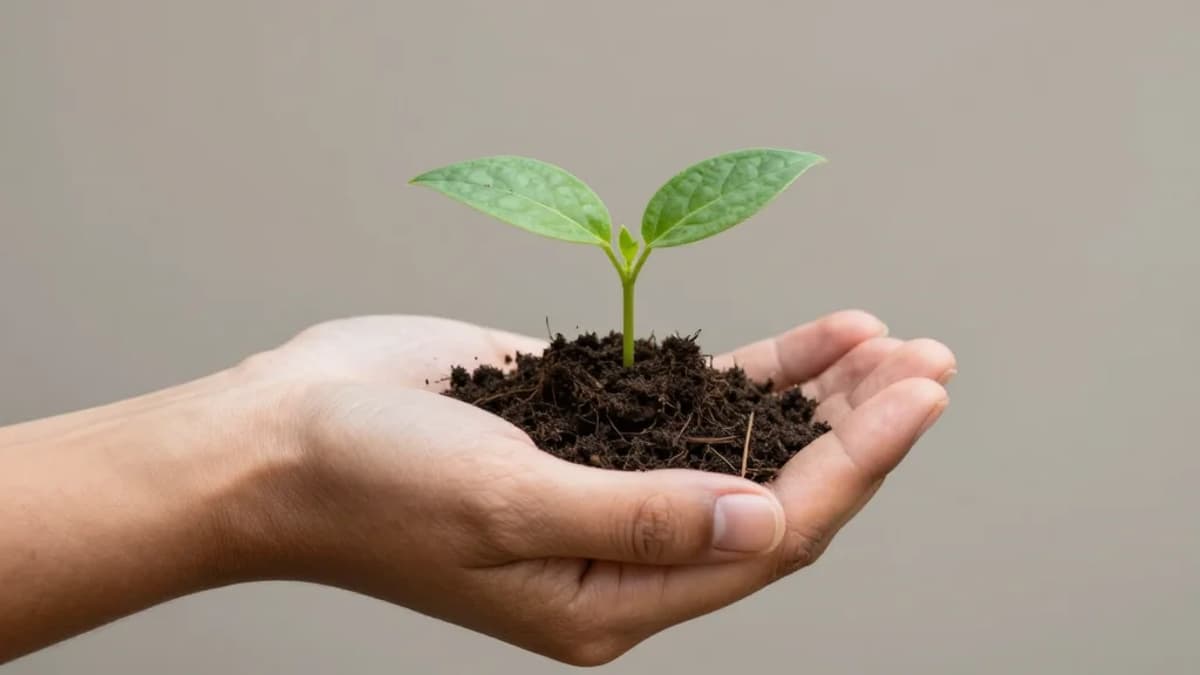 Helping Employees Find “Meaning” Improves Performance and Narrows Gender Gaps