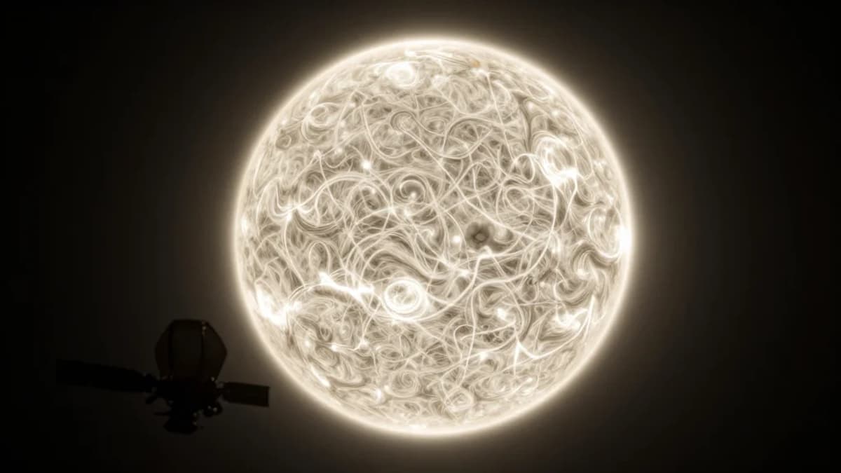 New 3D Map of the Sun's Magnetic Interior Could Improve Predictions of Disruptive Solar Flares