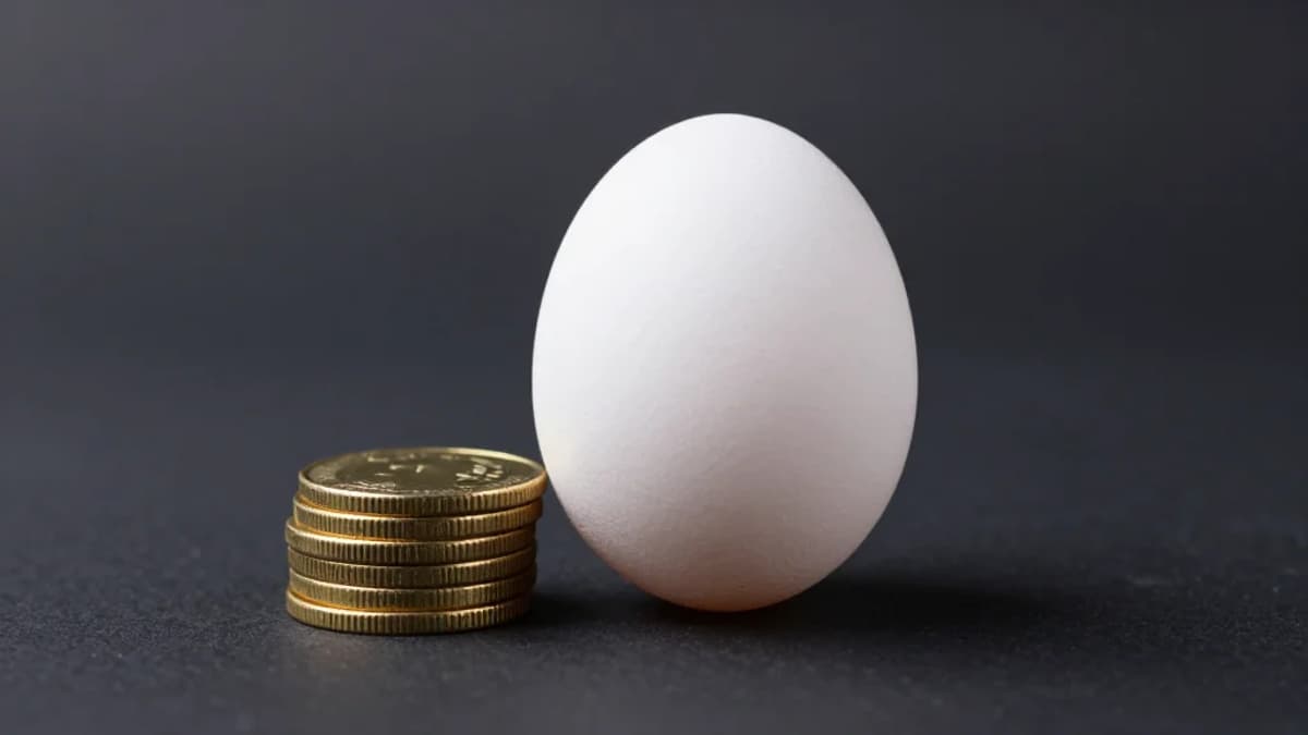 Cal-Maine Foods Acquires Creighton Brothers for $128.5M