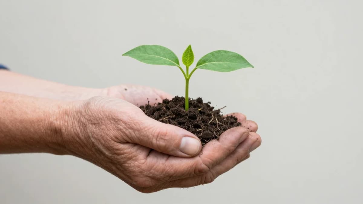 Busting Age-Related Myths Can Unleash a Suite of "Superpowers"