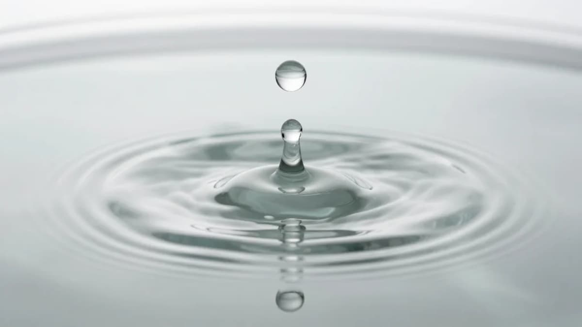 Big Shocks Make Firms Change Prices Faster, Speeding Inflation