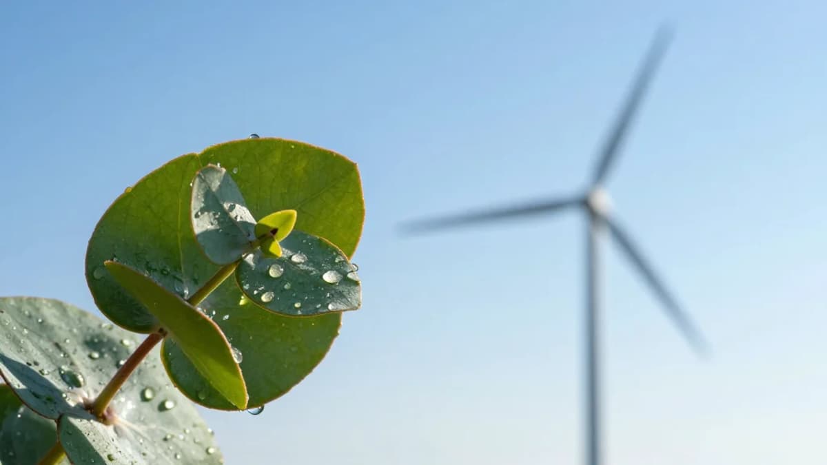 Snail Trails and Uncertainty: Australia’s Emissions Are Not Falling Fast Enough