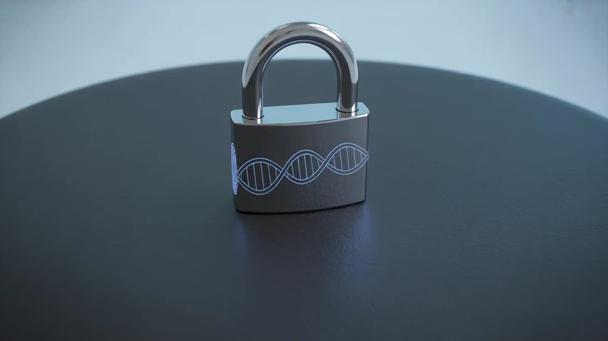 Stay Anonymous When Using AI for Sensitive Queries