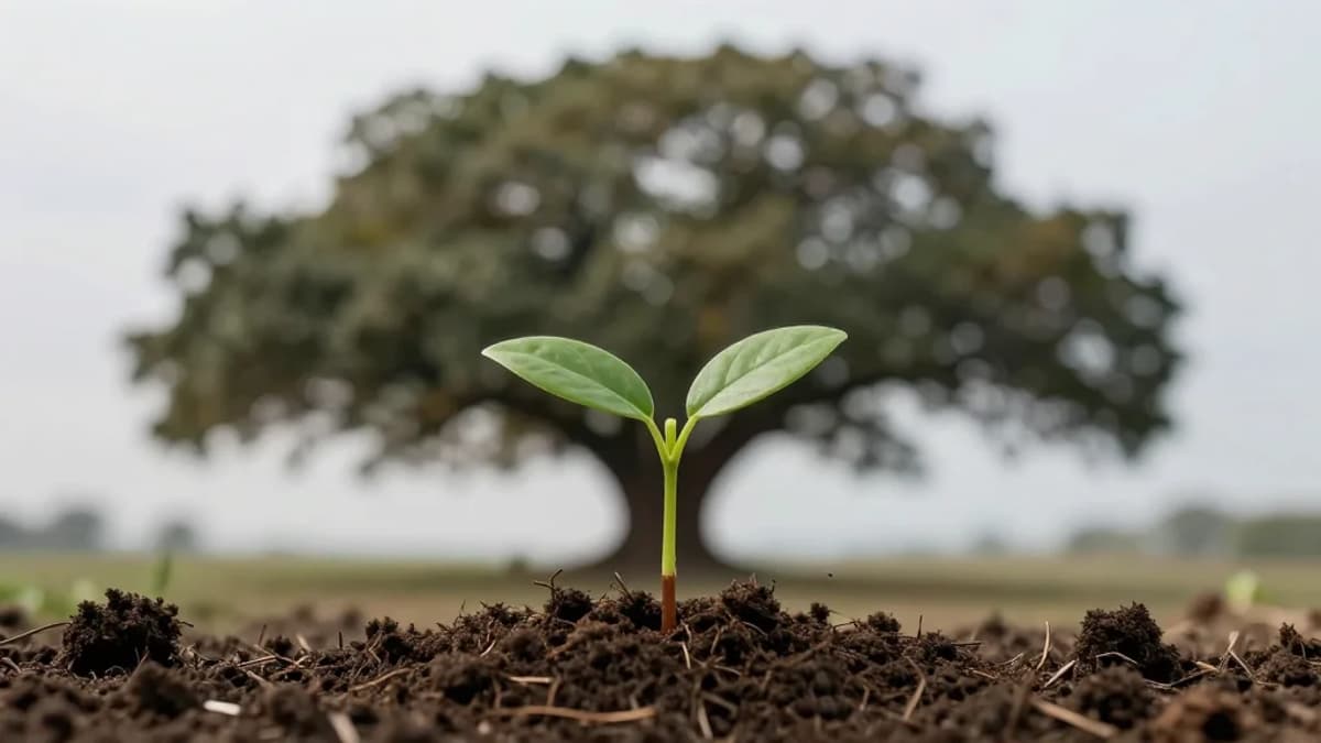 Prioritize Strong Intro to Associate Over Weak Partner Intro