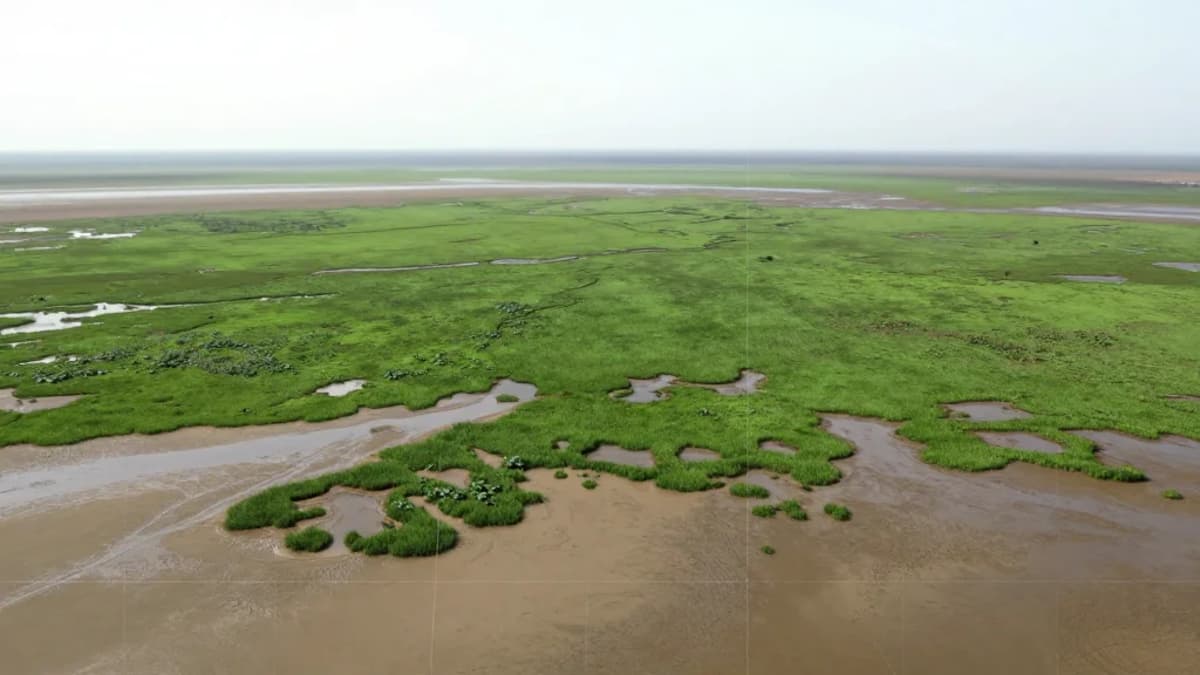 Could One of Europe's Most Important Wetlands Really Vanish? Satellites Show It May Happen in Our Lifetime