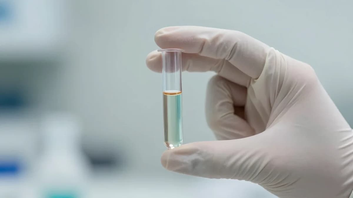 Bifunctional Cu–Sn Oxides for Electrocatalytic Upgrade of Nitrate and Glucose to Ammonium Formate