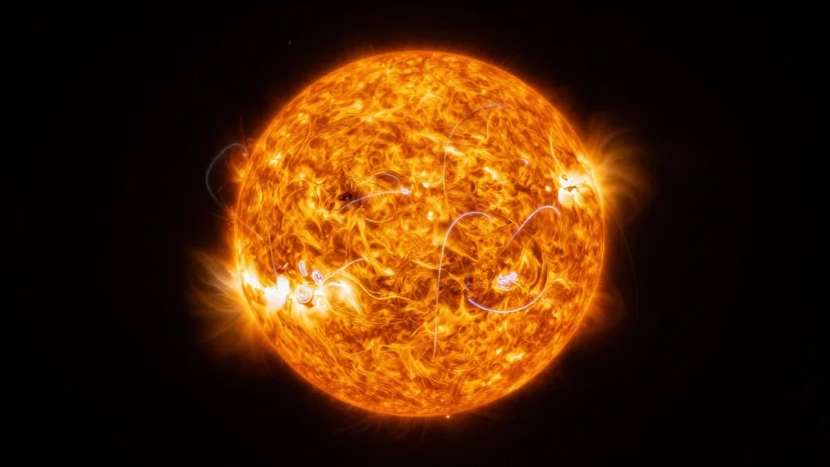A Century's Worth of Data Could Help Predict Future Solar Cycle Activity