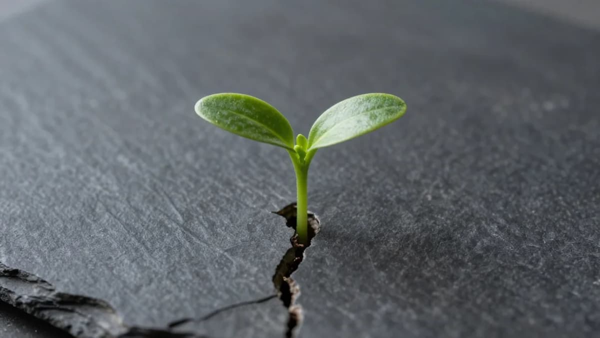 True Leadership Thrives on Relentless Coachability and Self‑honesty