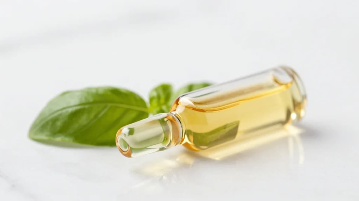 Melt&Marble Cleared to Sell Animal-Free ‘Designer Fats’ for Food & Personal Care