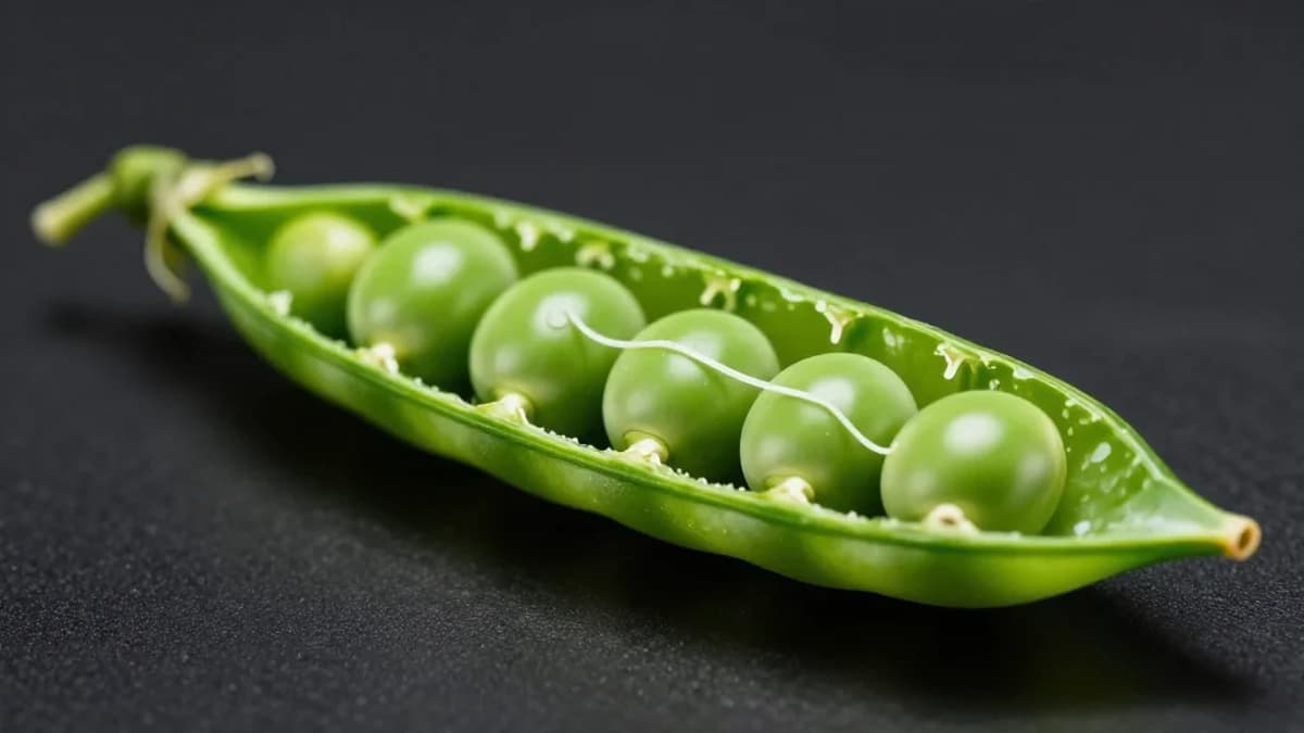 Tandem Repeat Evolution Under Selfing and Selection