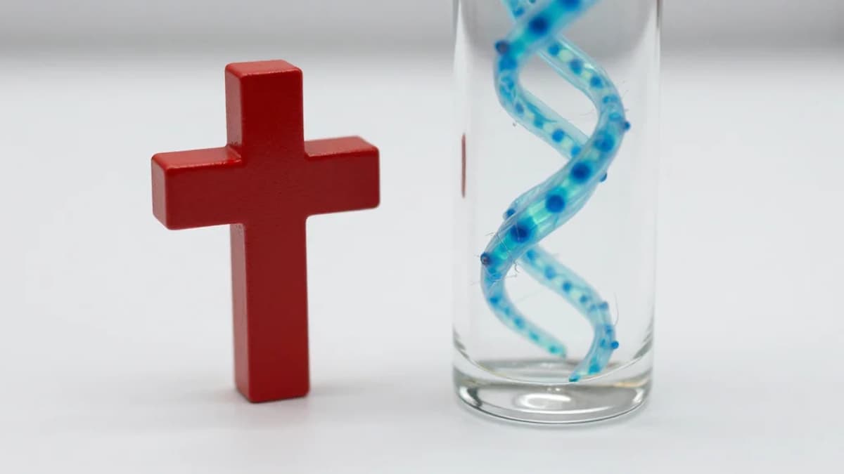 Interoperability and AI: Industry Perspectives and Best Practices