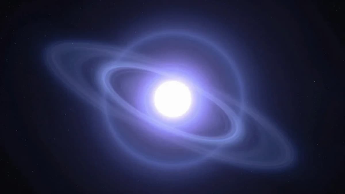 Pulsar Timing Hints at a Nearby Dark Matter 'Sub-Halo'