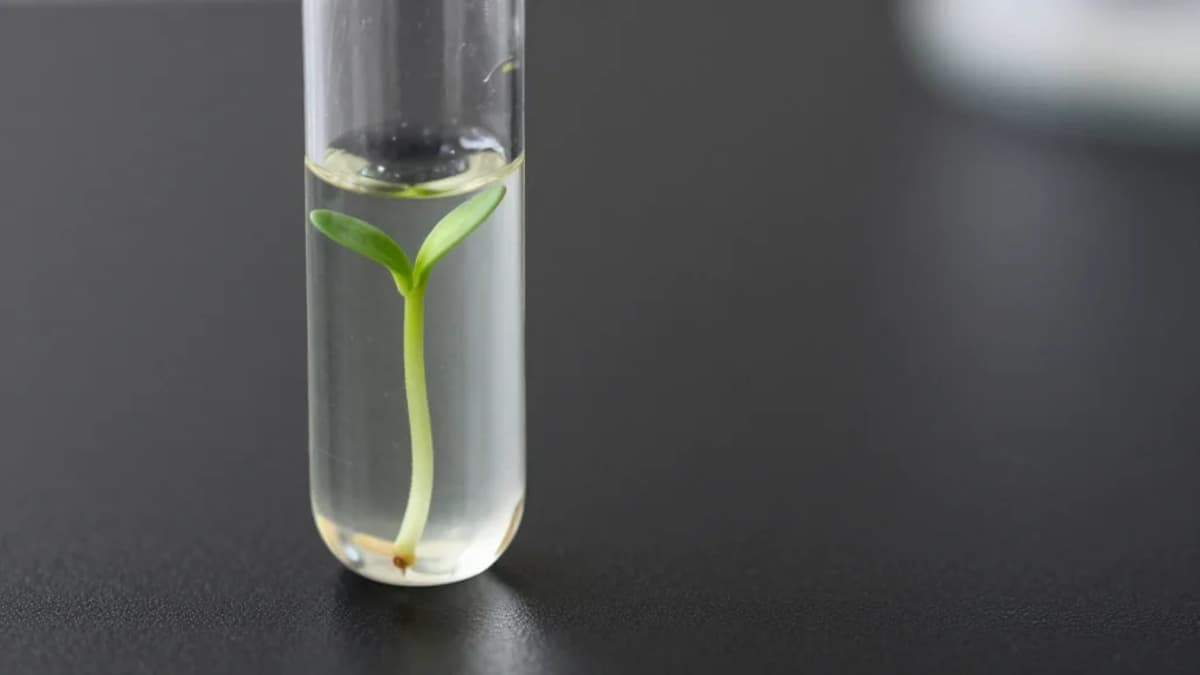 Angitia’s Latest Megaround to Fuel Mid-Stage Milestones: Venture Report