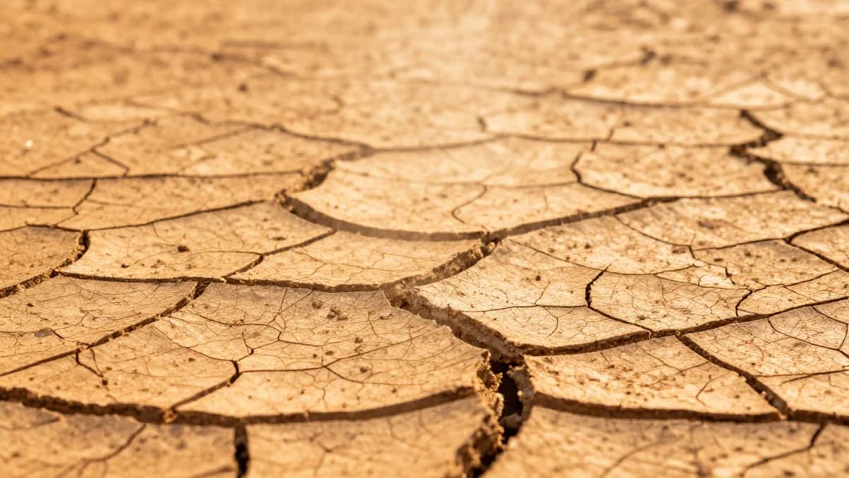 Certain Regions Hitting Deadly Heat Thresholds Sooner