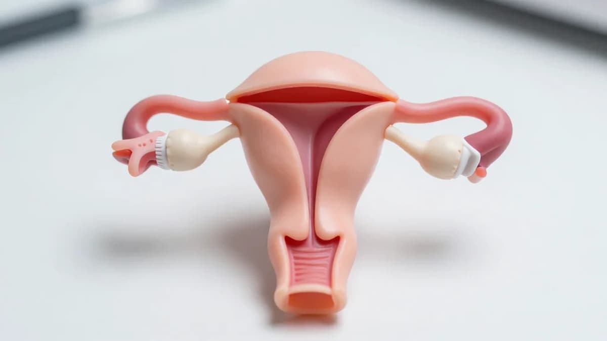 [Comment] Why Investing in Women's Health Is a Societal Imperative