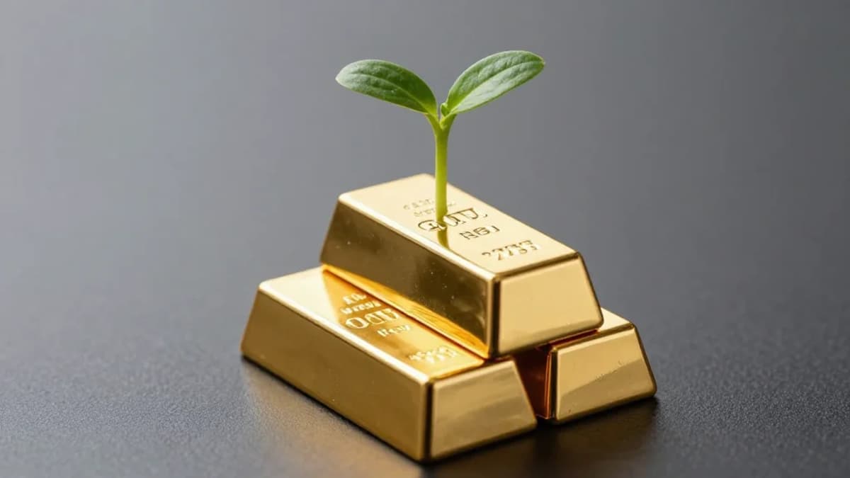 Multiple Stock Paydays Boost Wallet for Full Swing