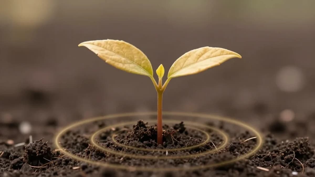 Never Sell: Growth Compounds, Starting over Is Hard