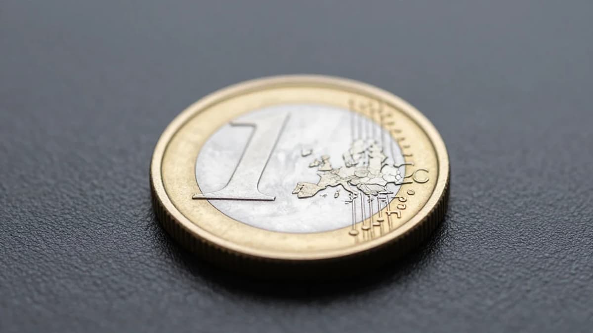 An Undervalued Stock to Buy and Hold for the Long Term