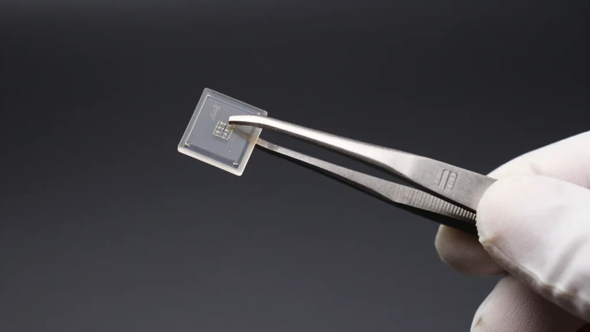 Self‐Driven Interfacial Assembly of MIL‐68 MOFs on Group‐III Nitride Nanorod Arrays for Constructing Efficient Photoanodes