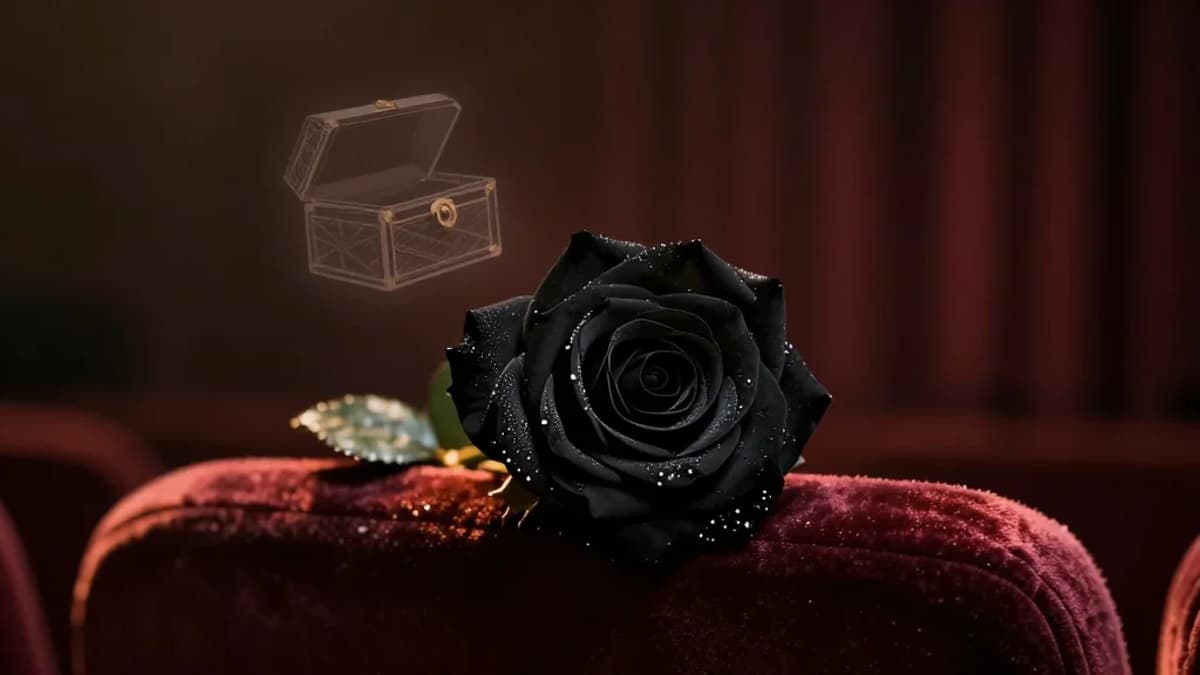 Ruth Knafo Setton: Five Things I Learned Writing Zigzag Girl