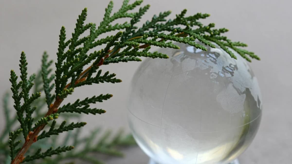 Lebanese Ministry of Culture Urges UNESCO to Grant Enhanced Protections to Cultural Property