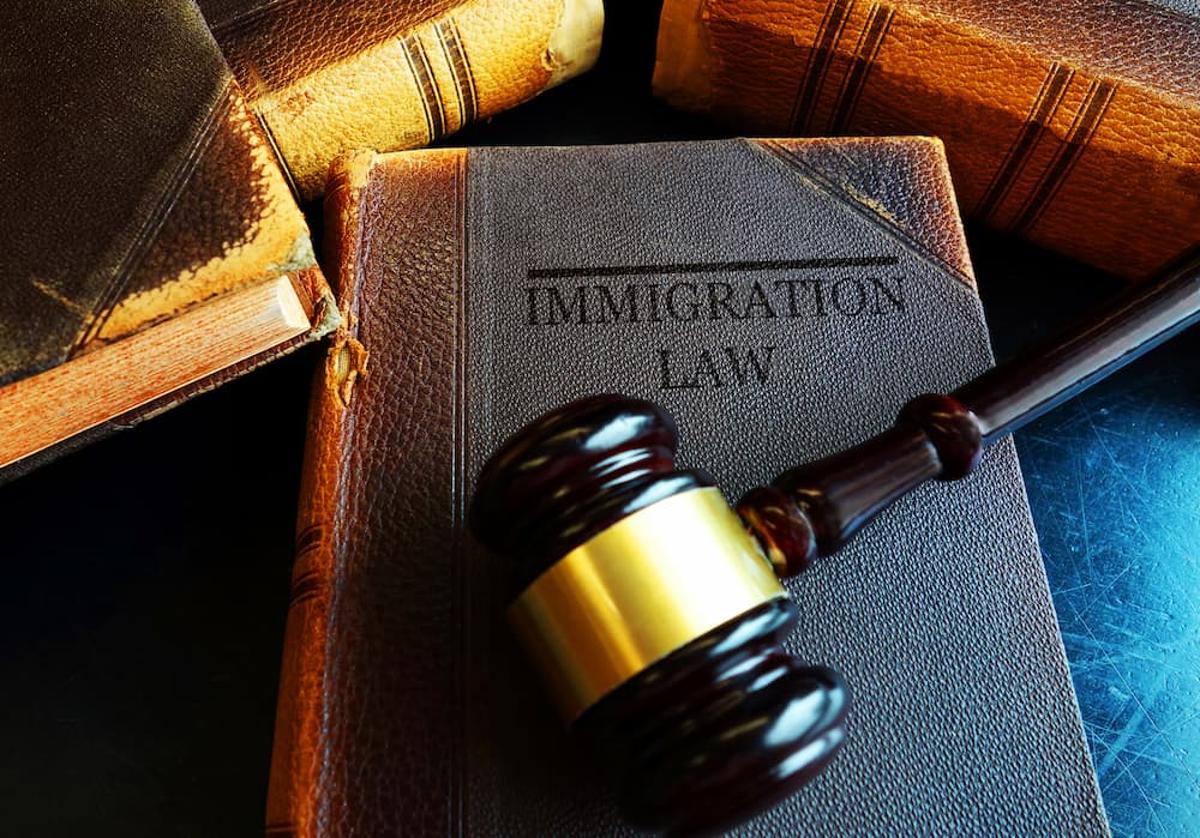 Immigration Enforcement Concerns Expose Credibility Gap for Employers
