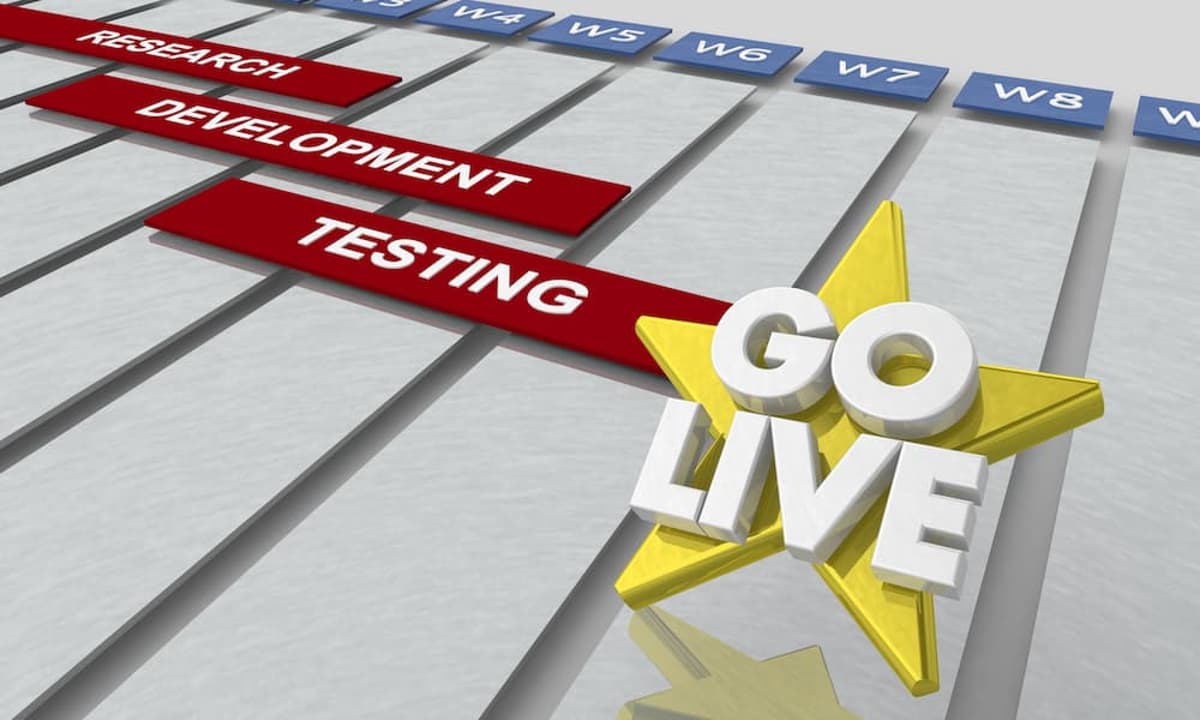 Why HCM Rollouts Are Failing and What HR Can Do About It