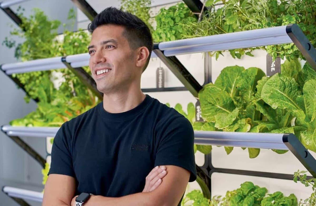 Growing Together: Why Offices in Singapore Are Farming Their Way to Better Culture