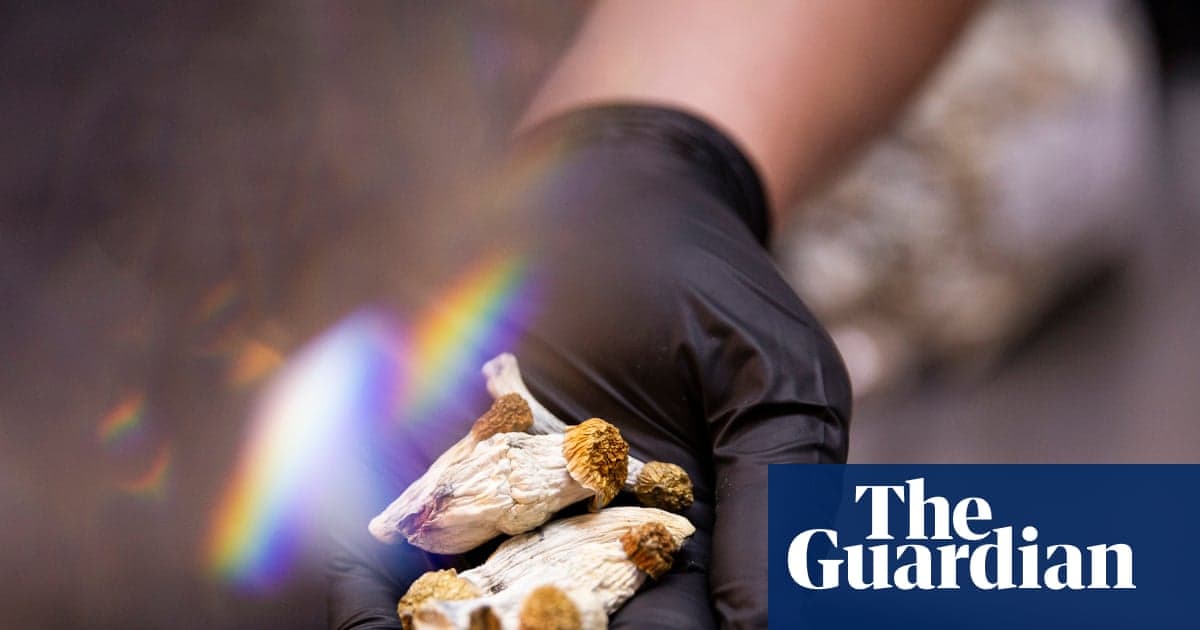 Magic Mushrooms Could Be Effective Treatment for Cocaine Addiction, Study Shows