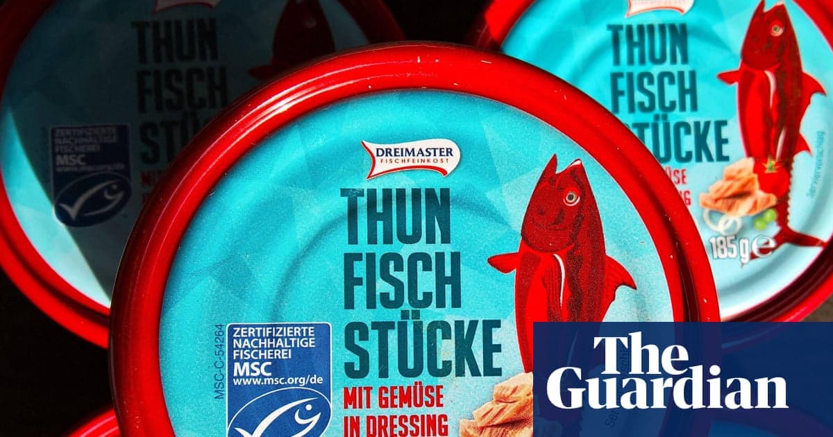 MSC’s ‘Blue Tick’ Scheme Creates Illusion of Ethically Sourced Fish, Study Claims