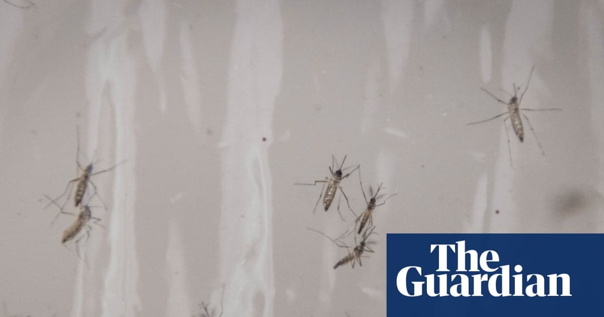 Debugging: Google Requests Permission to Release 32m Mosquitoes in California and Florida