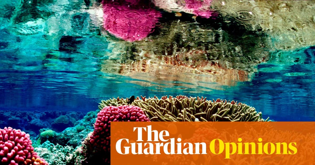 Coral Reefs Are Nearing Extinction. 2026 Must Mark a Turning Point | Jason Momoa
