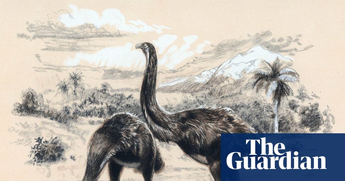 Artificial Eggshell Comes First in Attempt to Revive Giant Flightless Moa