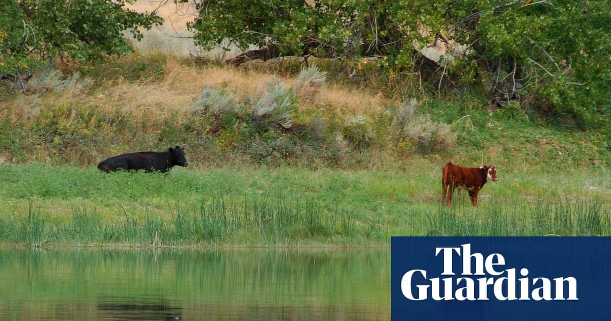 Trump Officials Cancel Rule that Made Conservation a ‘Use’ of Public Lands
