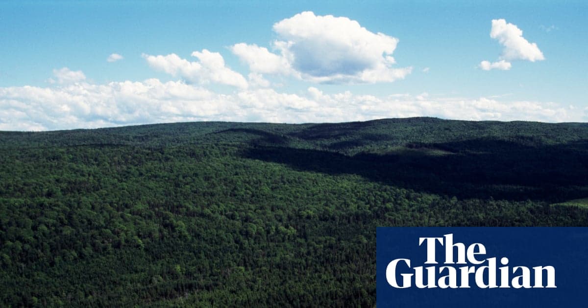 What Counts as the Woods? Judge Axes Nova Scotia’s Ban that Defied ‘Commonsense Definitions’