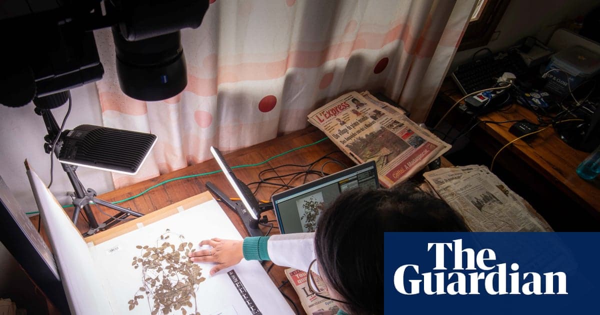 AI Could Help Win ‘Race Against Extinction’ of Vital Plants, Say Botanists