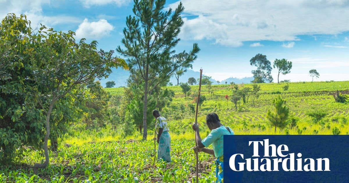 Iran War May Cause Food Shortages in Africa, World’s Largest Fertiliser Firm Says