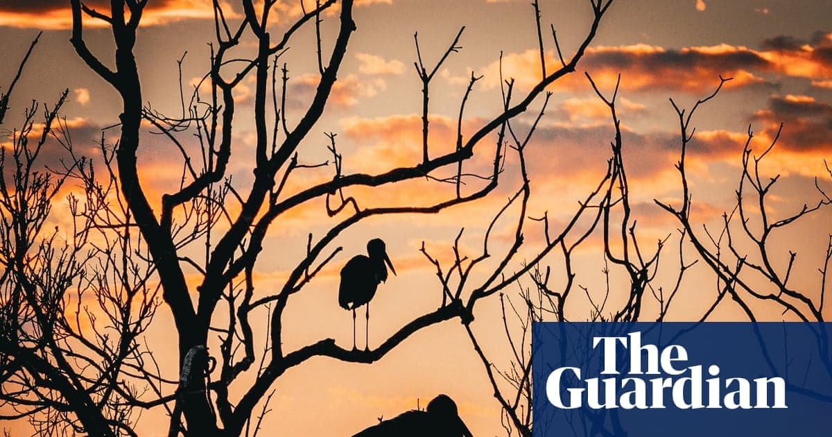 Wildlife and Humans Thriving in Unesco-Protected Sites