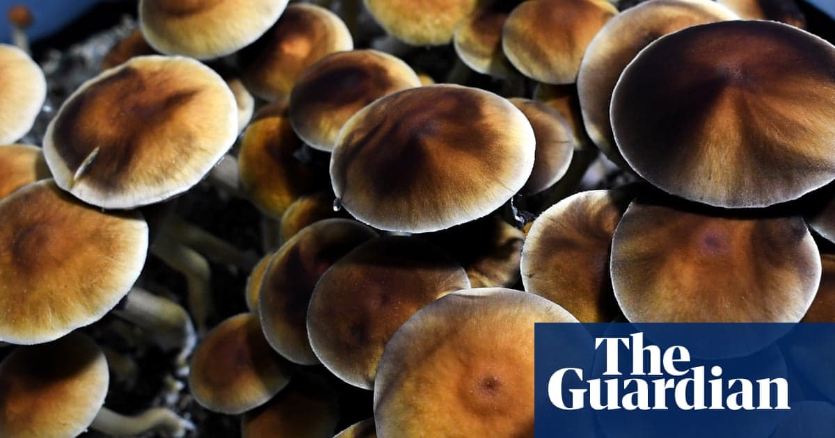 ‘I Didn’t Want to Be on Medication the Rest of My Life’: Veteran Runs Psilocybin Retreats for PTSD Before FDA...