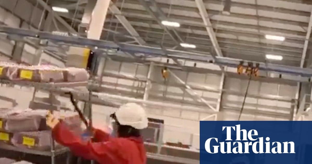 Pro-Palestine Activists Sentenced as Terrorists over Damage at Israeli Arms Factory in UK