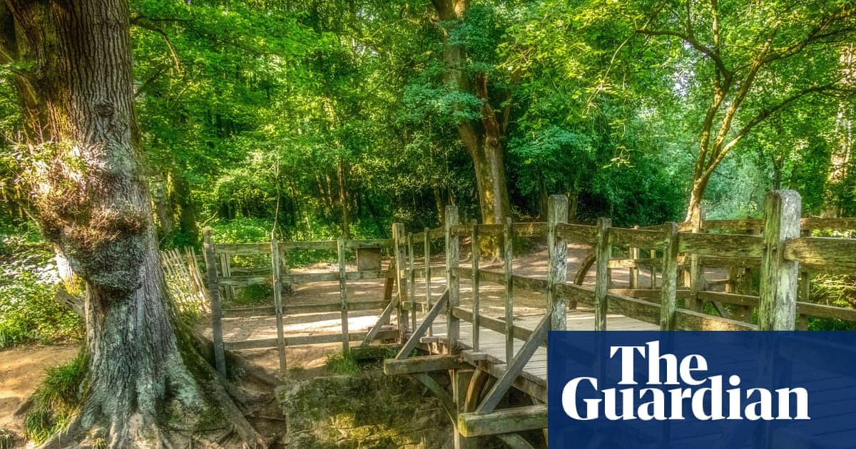 Winnie-the-Pooh’s 100th Birthday Is a Great Excuse to Explore the Sussex Forest that Inspired the Books